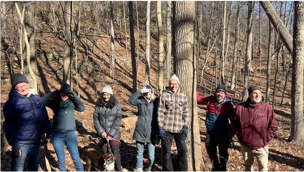 Medford mini-forest aims to reduce heat, increase biodiversity post image