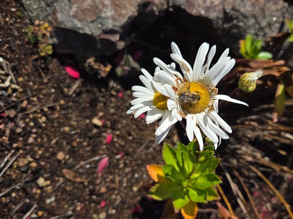 Crossing Paths: Positive encounters around town post image