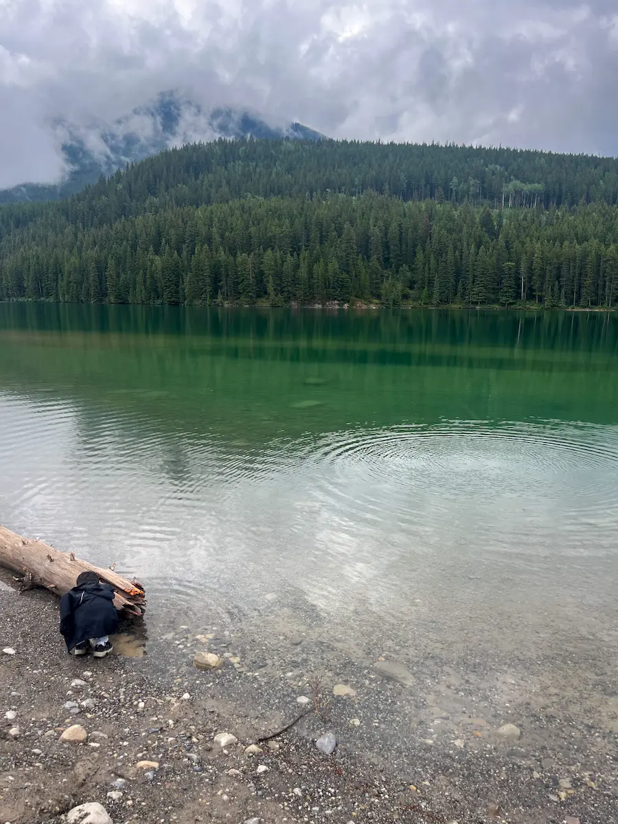 Lake Minnewanka scenic loop Banff National Park mountain reflections elk wildlife