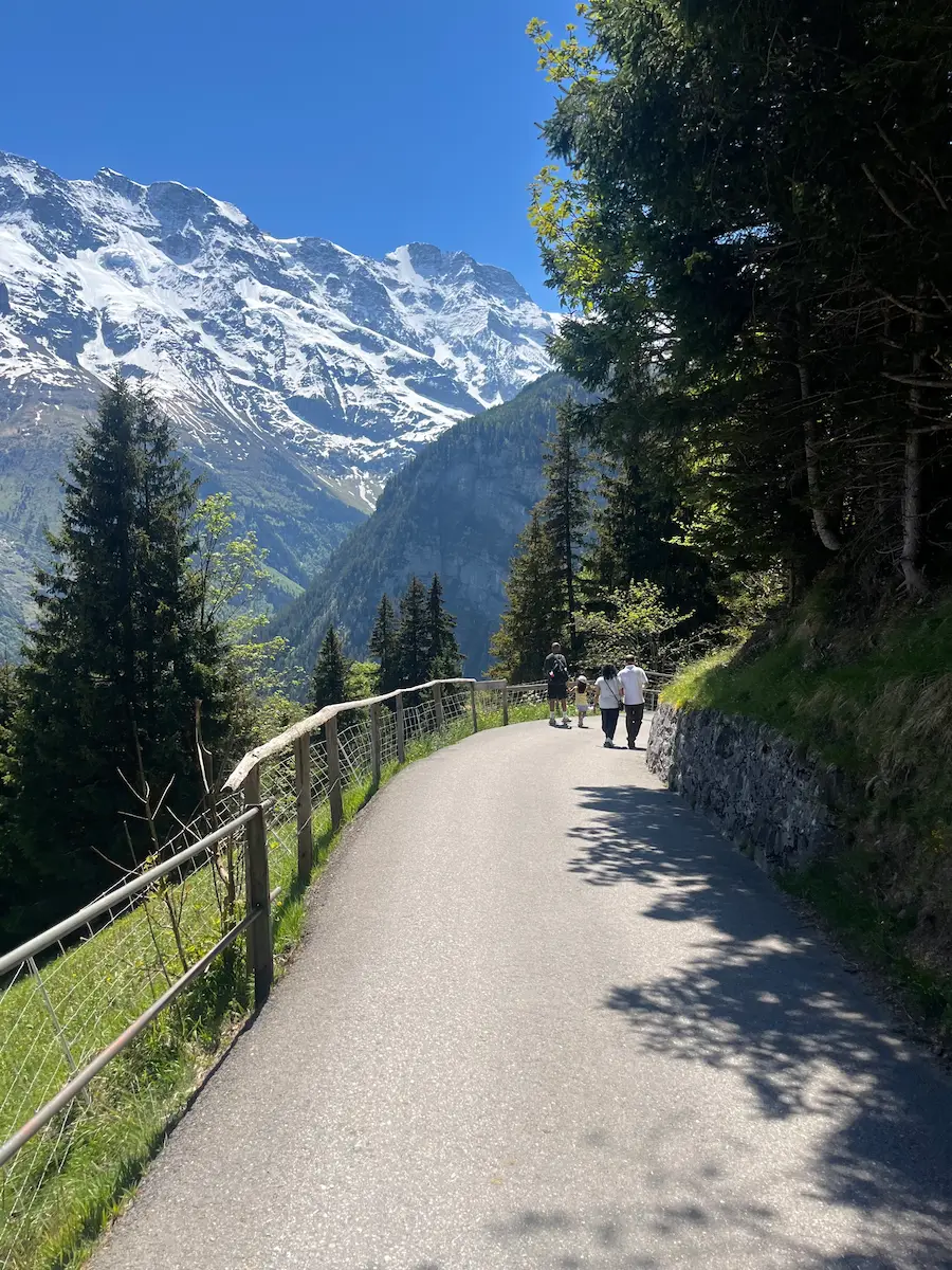 Broad downhill trail from Mürren to Gimmelwald with wildflower meadows and Lauterbrunnen Valley, suitable for pushchairs