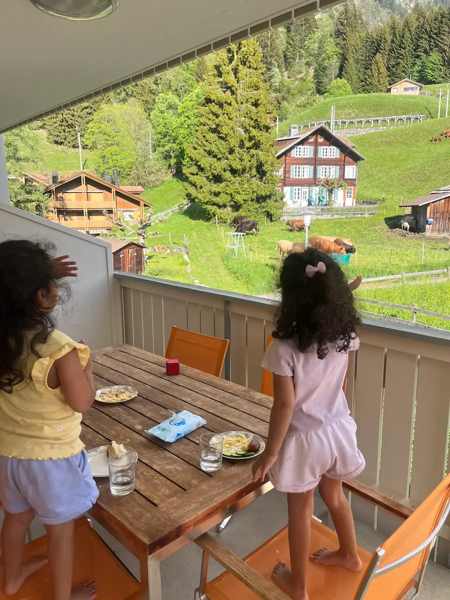 girls with back to camera standing on chairs with field and cows in background