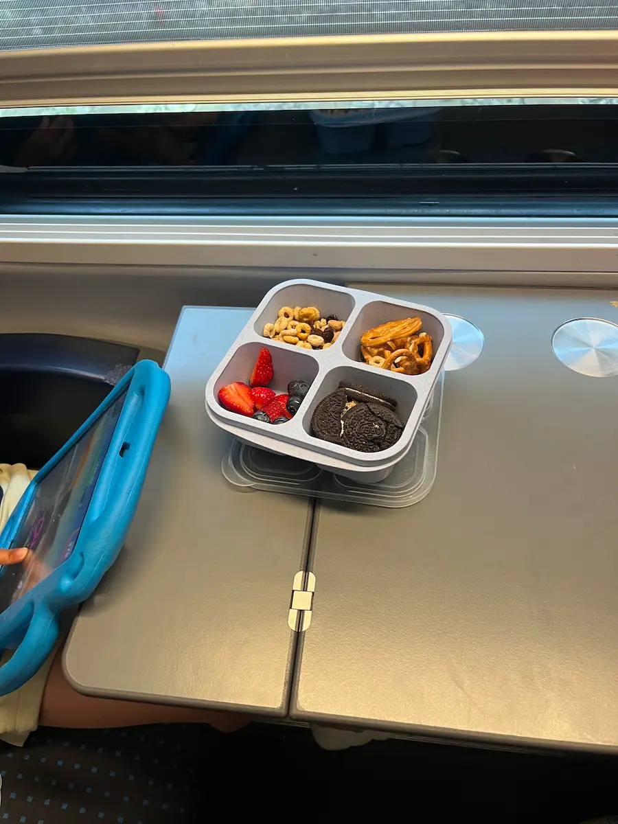 Multi-compartment snack box packed for family day trip, self-catering apartment Switzerland Jungfrau region family travel