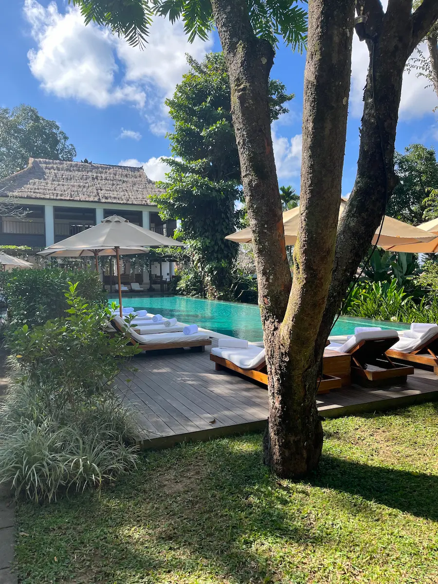 Hotel pool in Ubud surrounded by tropical greenery, family-friendly resort setting for toddlers and grandparents