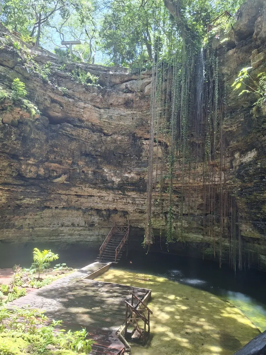 Open-air cenote at Chichen Itza with hanging vines and a wooden staircase descending to turquoise water below.