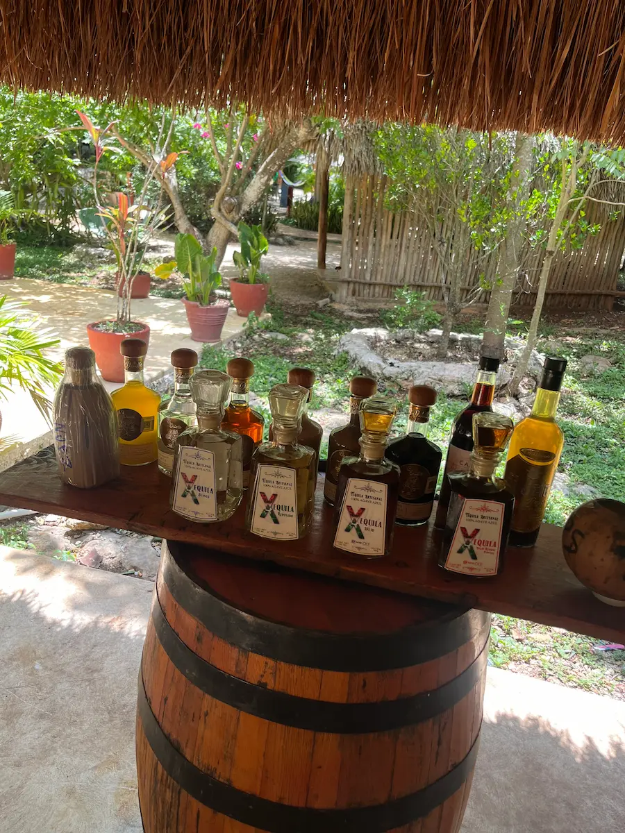 Row of tequila bottles displayed on a wooden shelf above a barrel, tropical garden visible in the background.