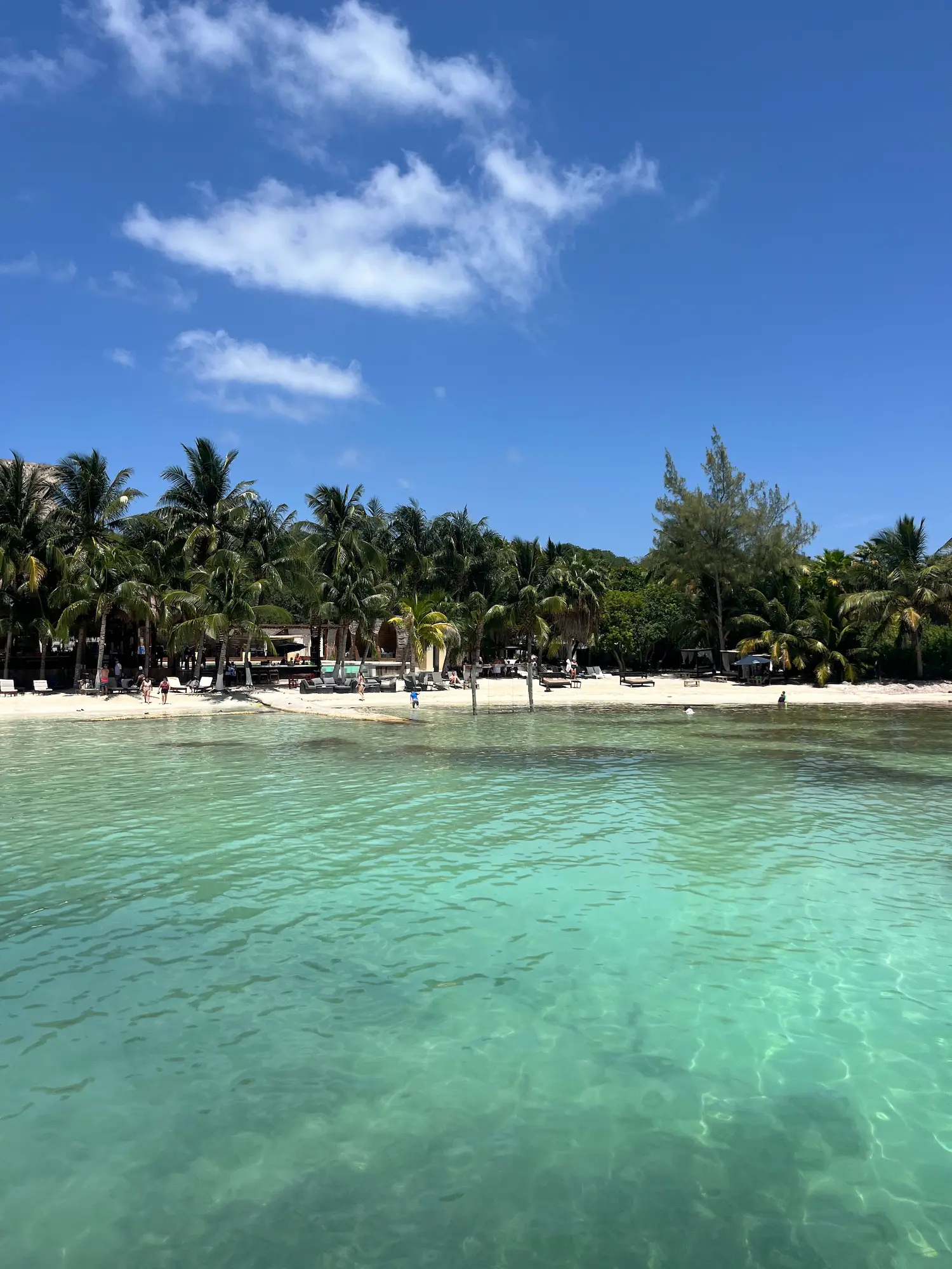 View of a palm-lined beach at Isla Mujeres from the water, sun loungers and distant figures visible on the sand.
