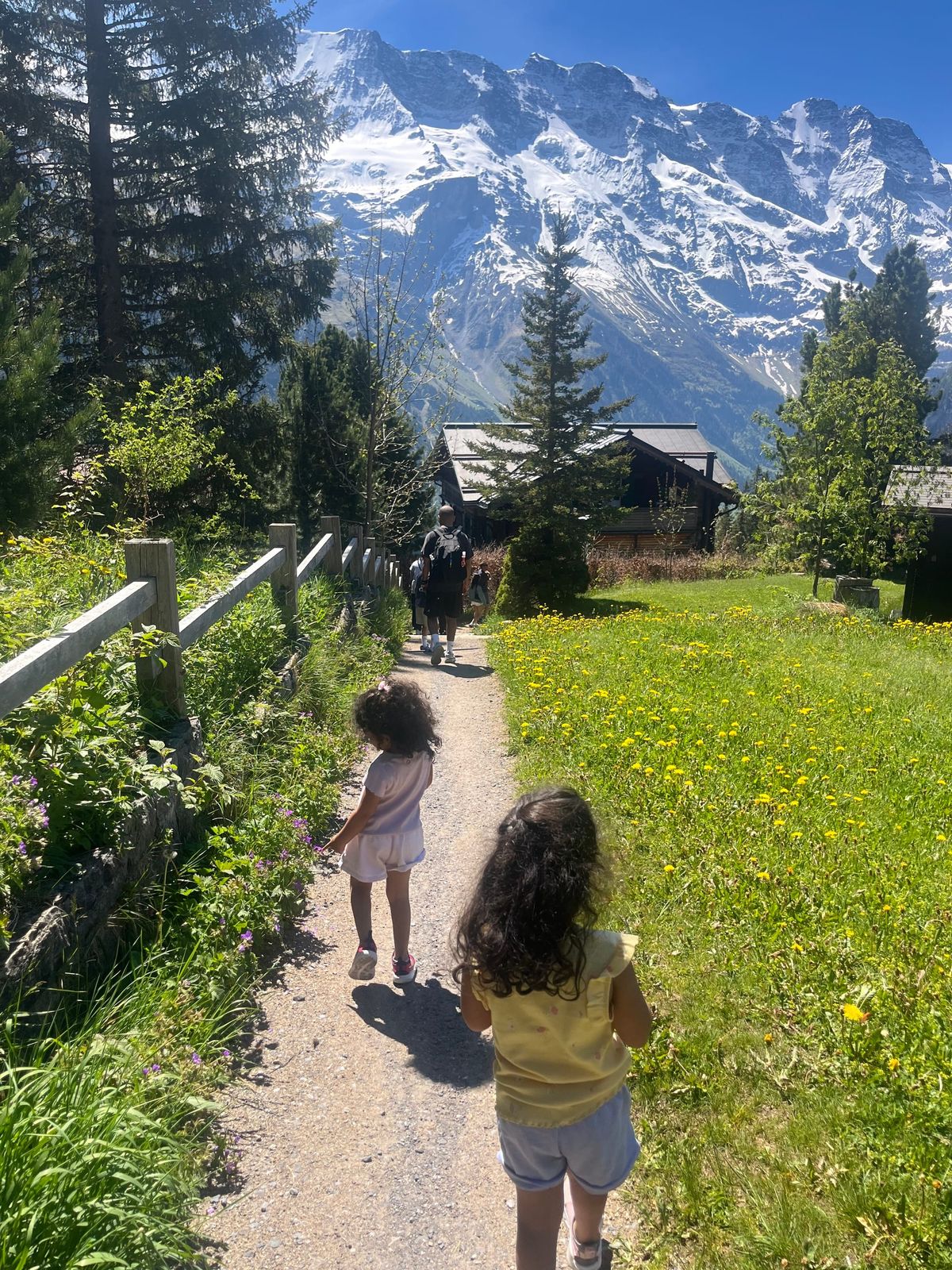 Family walking down mountain path through green meadows with snow-capped peaks behind, Mürren to Gimmelwald walk, Jungfrau region Switzerland