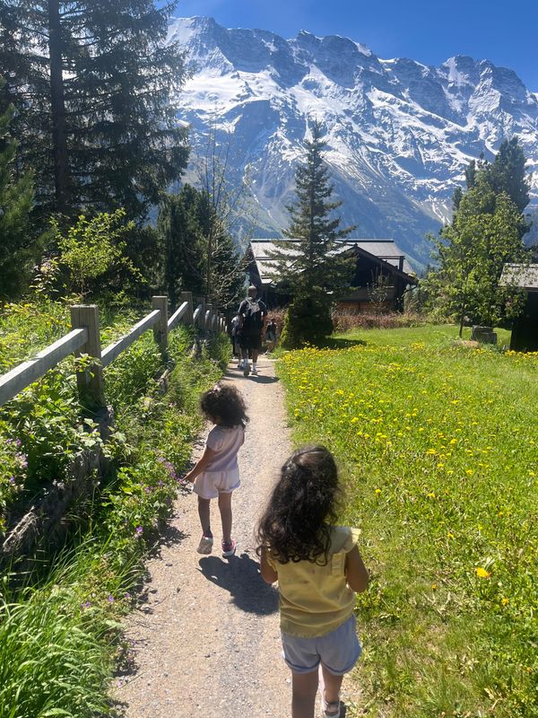 Family walking down mountain path through green meadows with snow-capped peaks behind, Mürren to Gimmelwald walk, Jungfrau region Switzerland
