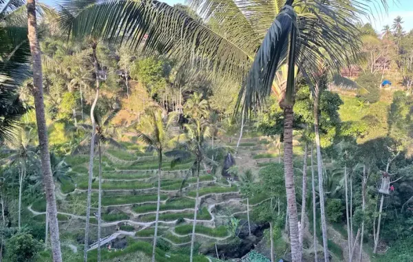 COMO Uma Ubud Review: An Honest Guide for Multi-Generational Families