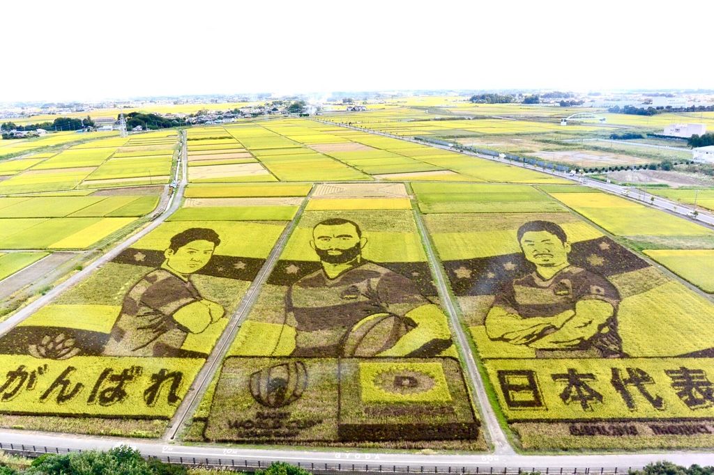 Discovering the Hidden Gems of Saitama