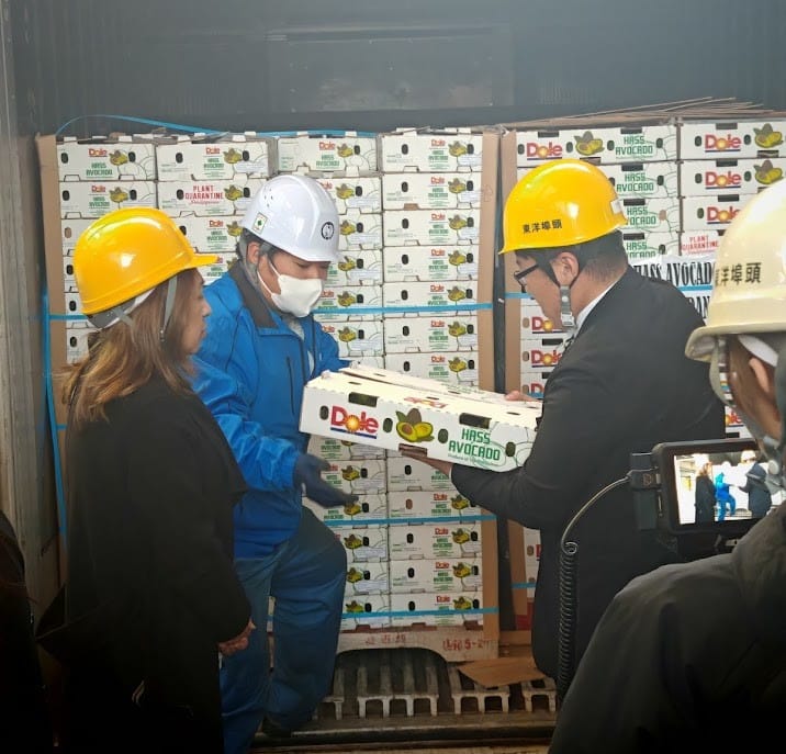 Philippines Becomes First Asian Nation to Export Hass Avocados to Japan
