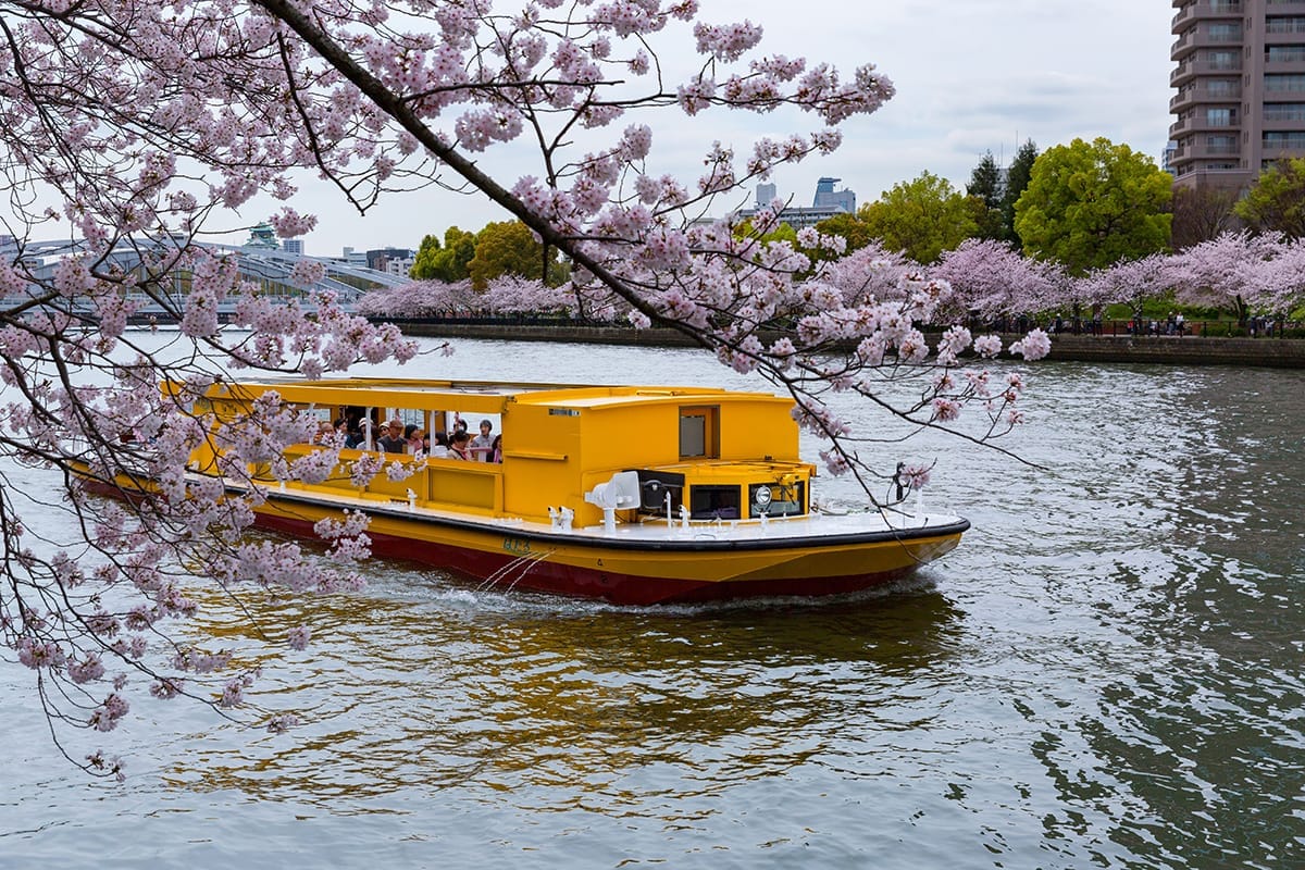 Japan Sees Surge in Filipino Tourists Amid Cherry Blossom, Weak Yen