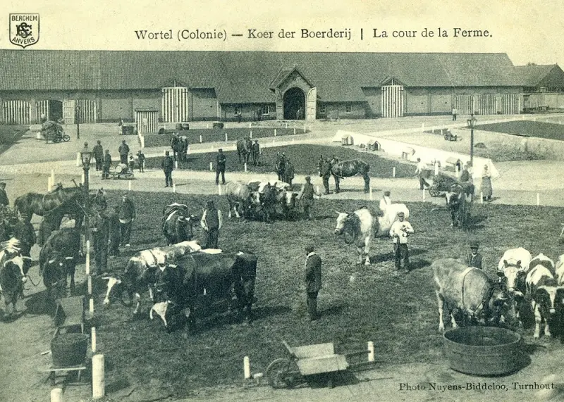 De binnenplaats van de boerderij van Wortel-Kolonie, ca. 1910 - © CAG, collectie Dries Horsten