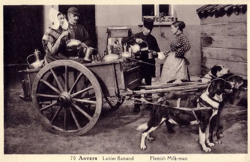 A farming family on a cart pulled by a team of draft dogs, circa 1900 - © CAG, Belfius Bank Postcard Collection, Académie Royale de Belgique - cagnet.be