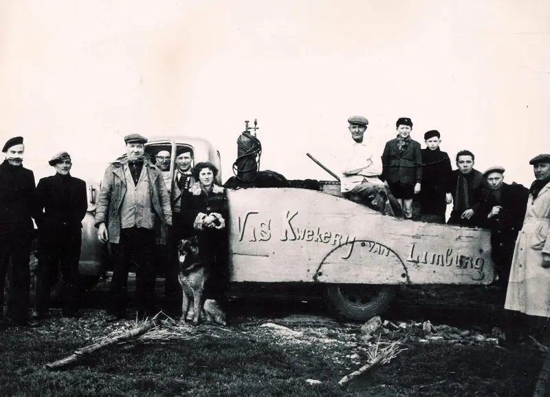 Fish farmers in De Wijers, 20th century - Vandeput Fish Farm