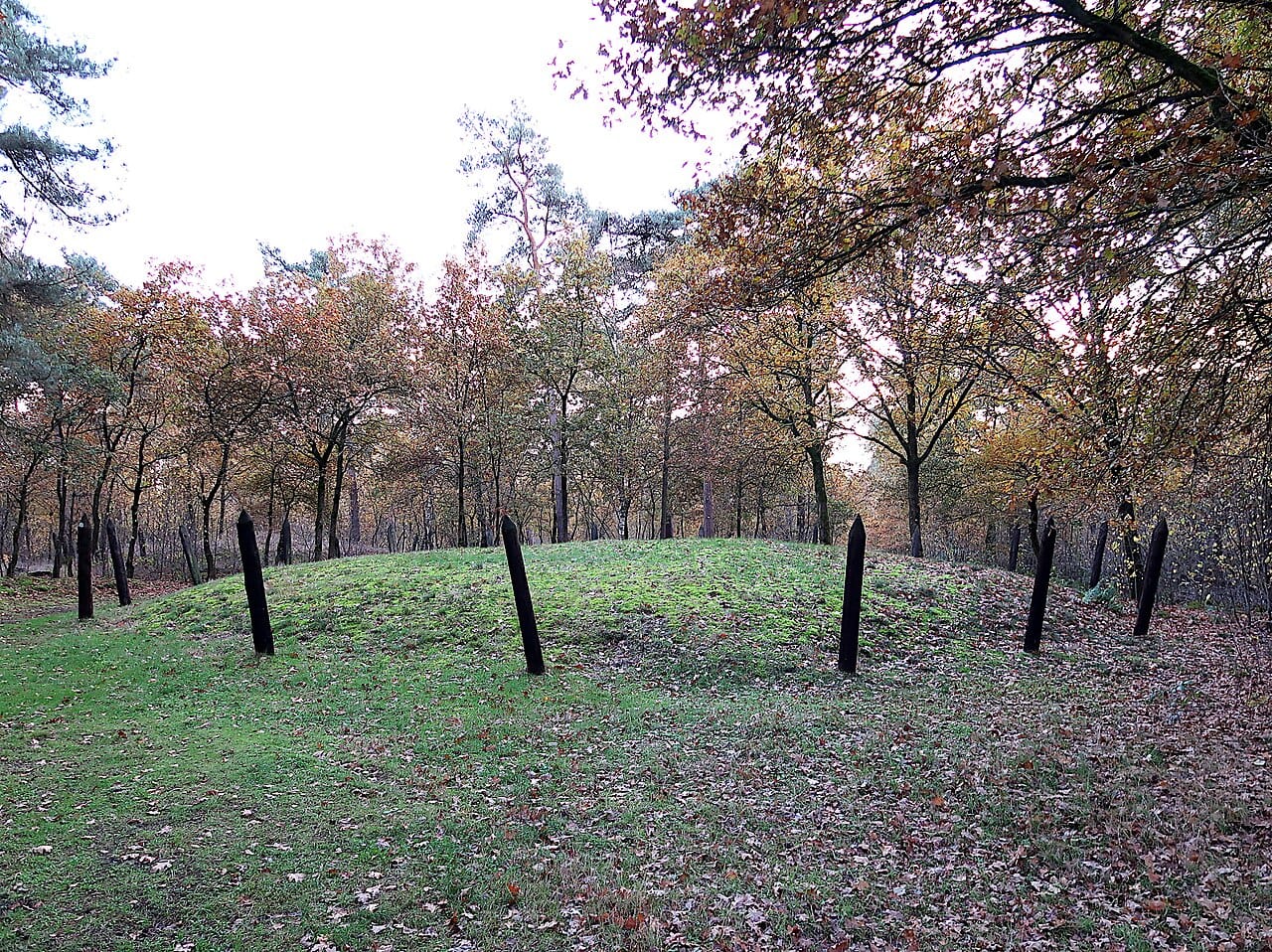 Tumulus à Haarterheide, Hamont. Wikimedia Commons (Eebie)
