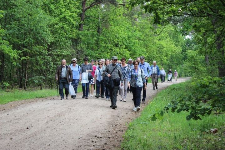 Stories from the soil