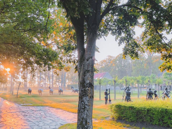 Hugo Voeten Sculpture Garden: fifteen hectares full of surprises