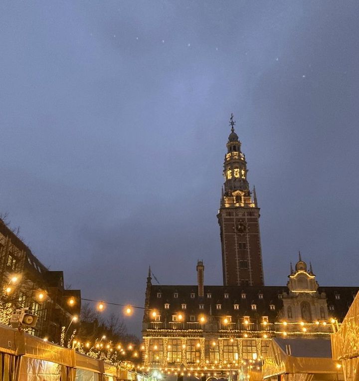 Want to learn IN or ABOUT the Leuven University Library?