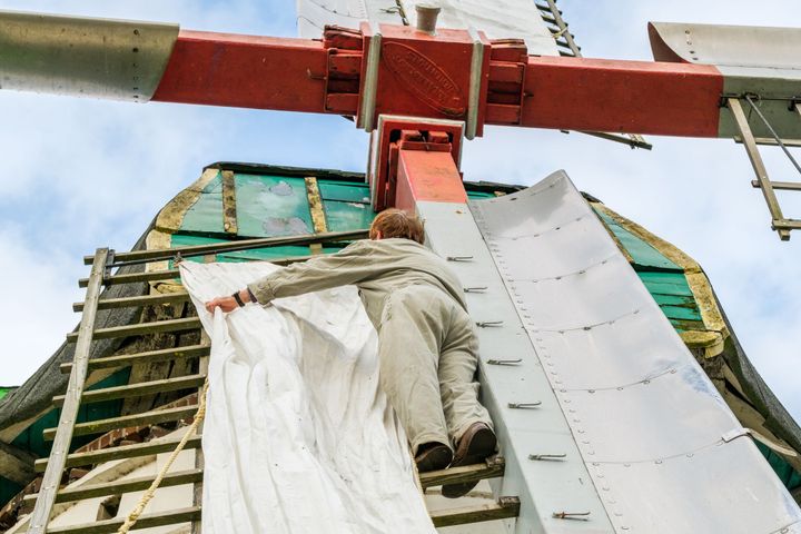 Une balade dans le Limbourg du Nord, entre moulins, réserves naturelles et frontières