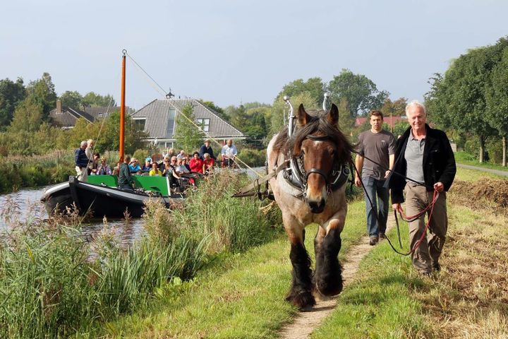 Traditions d'une ville industrielle : les Pjeirefretters à Vilvoorde