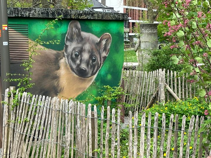 Une situation chaotique à Halle : une bande d'animaux s'est échappée