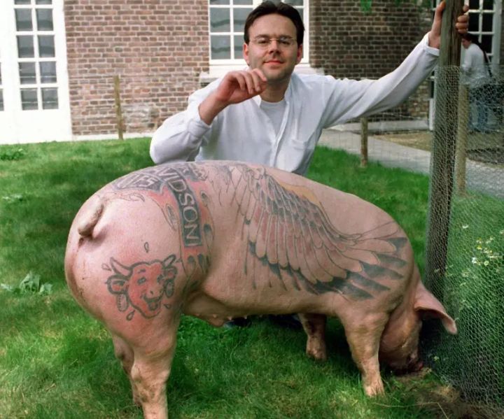 Wim Delvoye with Marcel, the tattooed pig, 1998 - © dpa picture alliance/Alamy Stock Photo