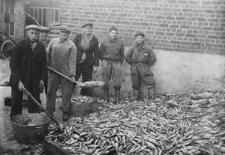 The result of the massive herring catch of 1943 at a fishmonger's in Poperinge - © Westhoek Verbeeldt, private collection - westhoekverbeeldt.be