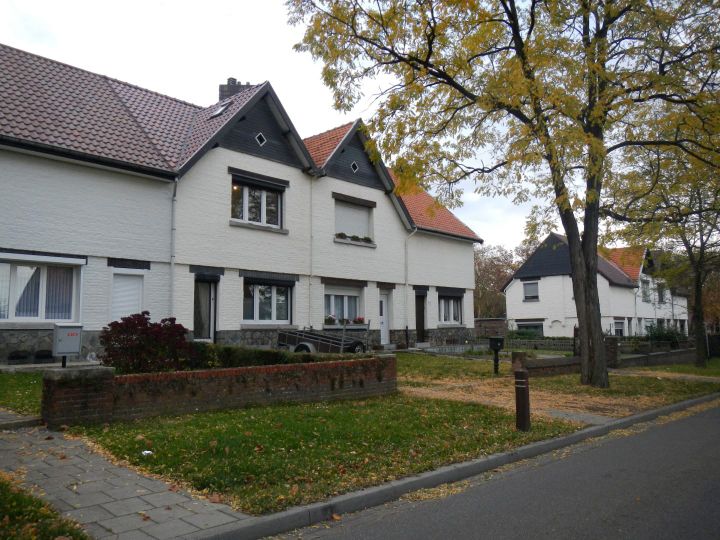 Eerste cité van Winterslag - Agentschap Onroerend Erfgoed - beeldbank.onroerenderfgoed.be, foto Evert Vandeweghe