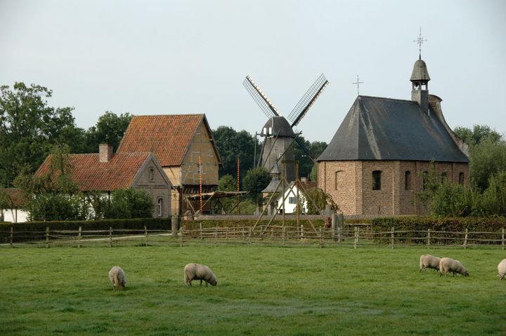 De Haspengouwse dorspkern, Bokrijk - Wikimedia Commons, foto Bart Bosmans