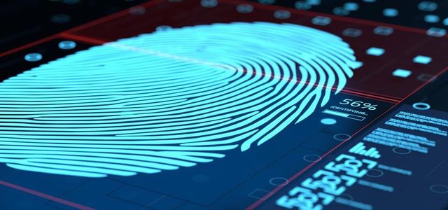Digital Forensics—Why Licensing Would Make Expertise Worse