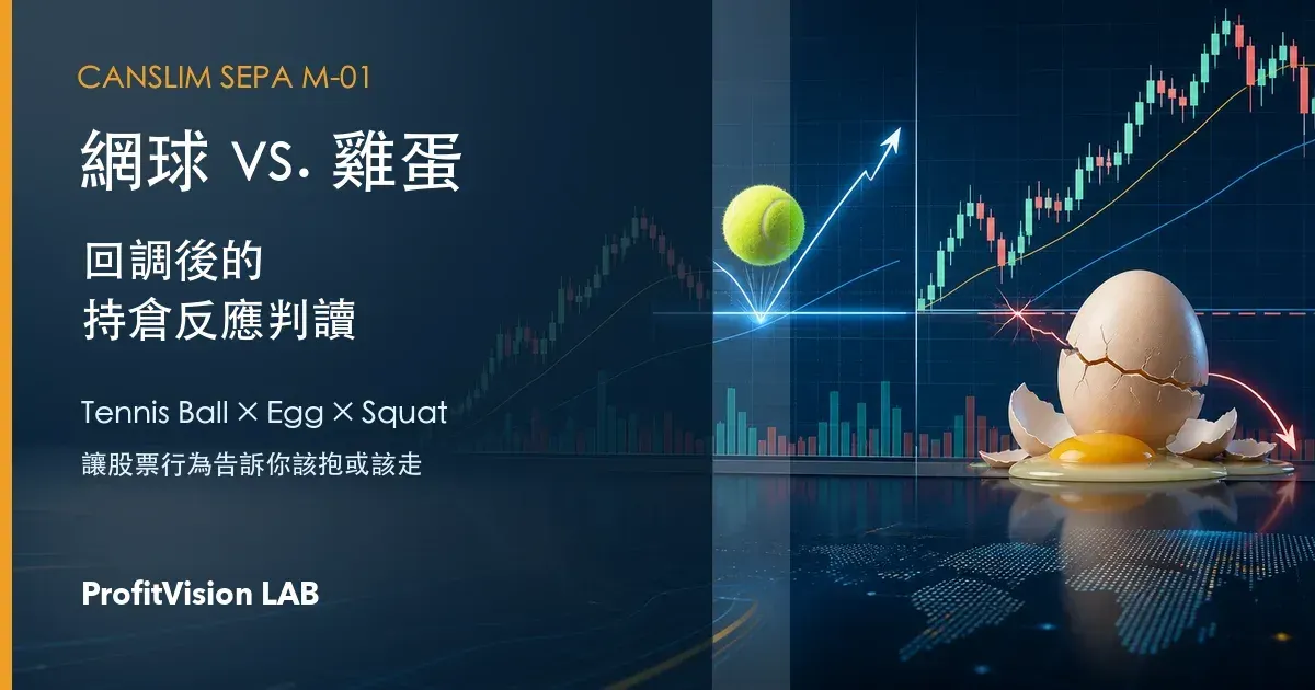 網球 vs. 雞蛋：持倉中股票回調後的兩種反應解碼