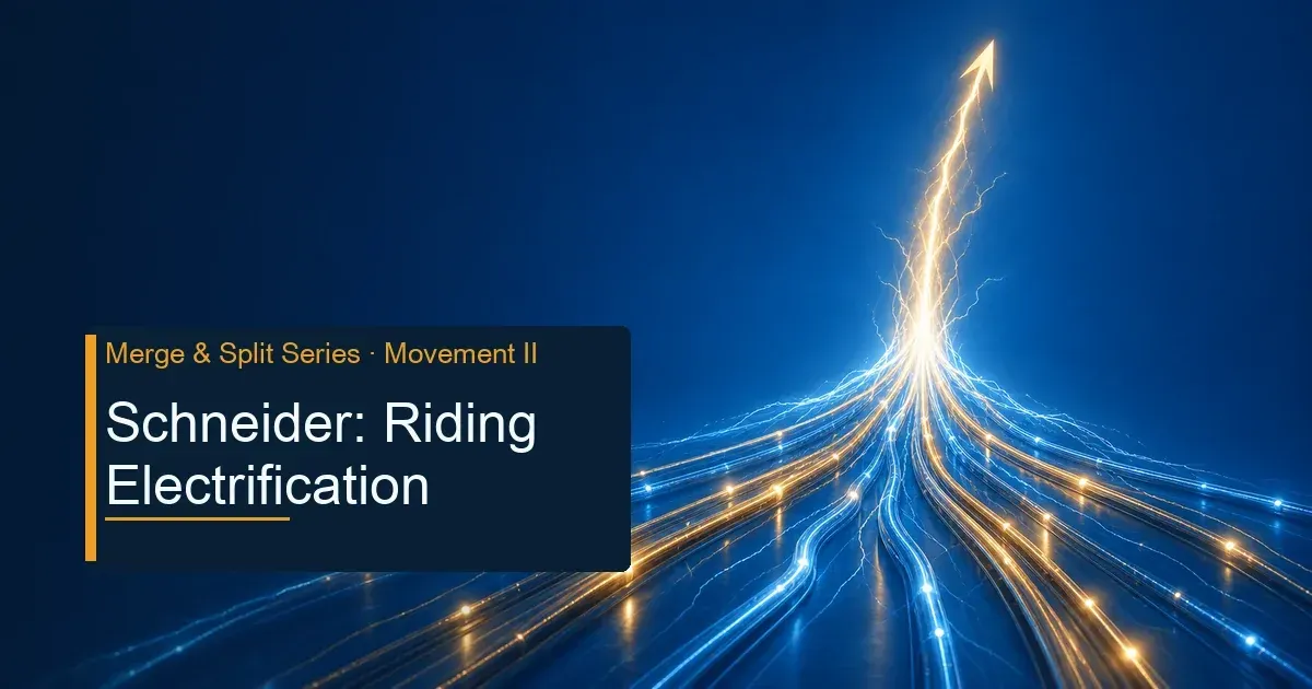 Schneider Electric: Using M&A to Ride the Century Tailwind of Electrification