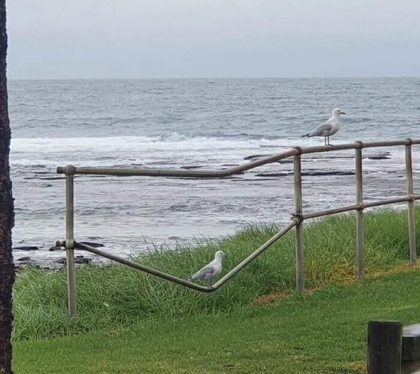 Correlation is not causation