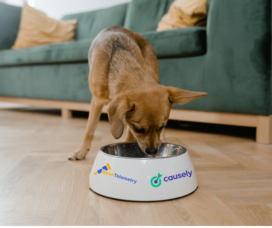 Eating Our Own Dog Food: Causely’s Journey with OpenTelemetry