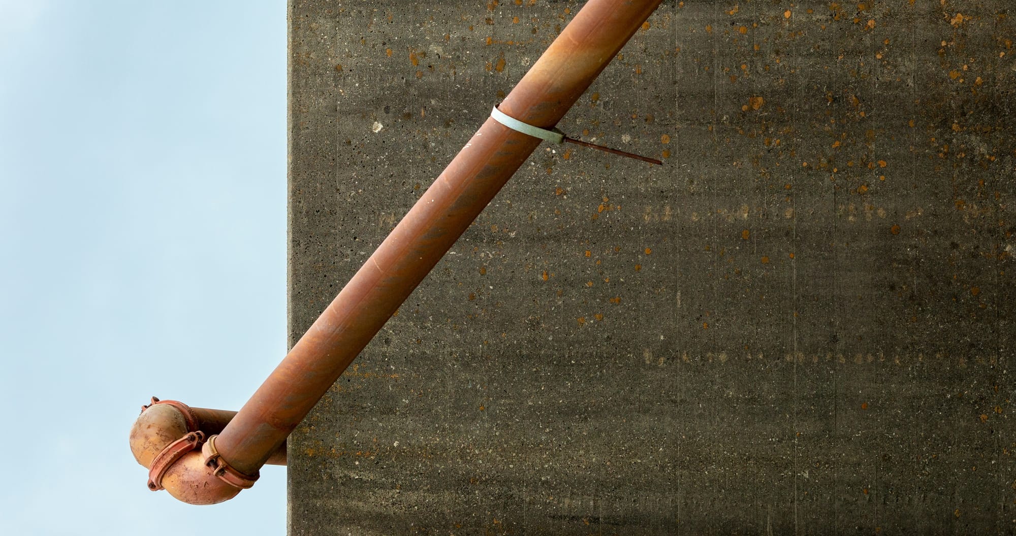 main image of the article