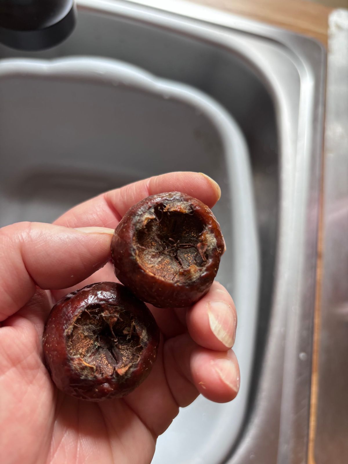 Take Medlars That Be Rotten
