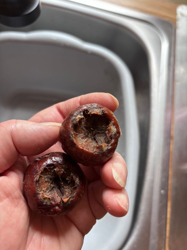 Take Medlars That Be Rotten