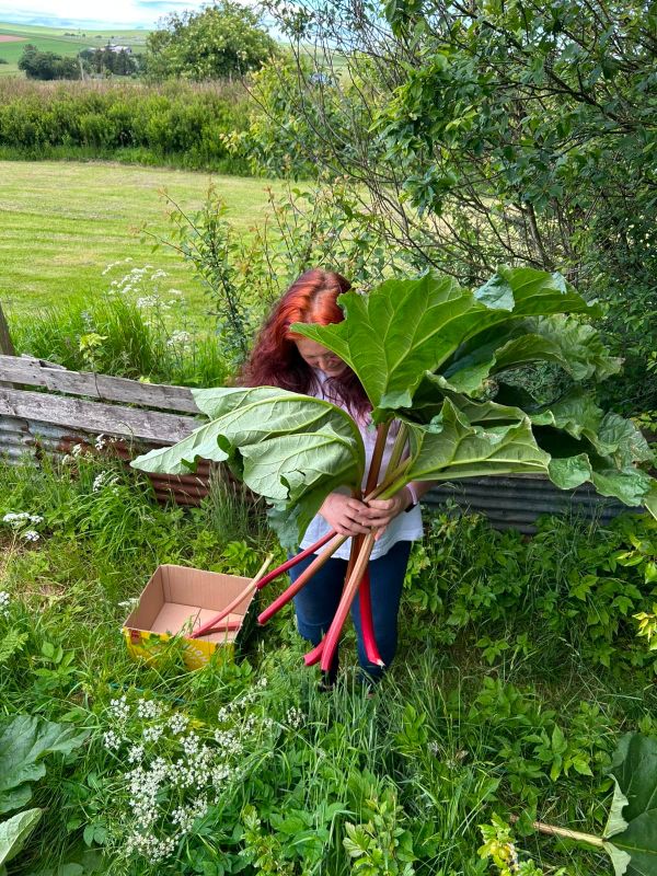 Rhubarb Rhubarb