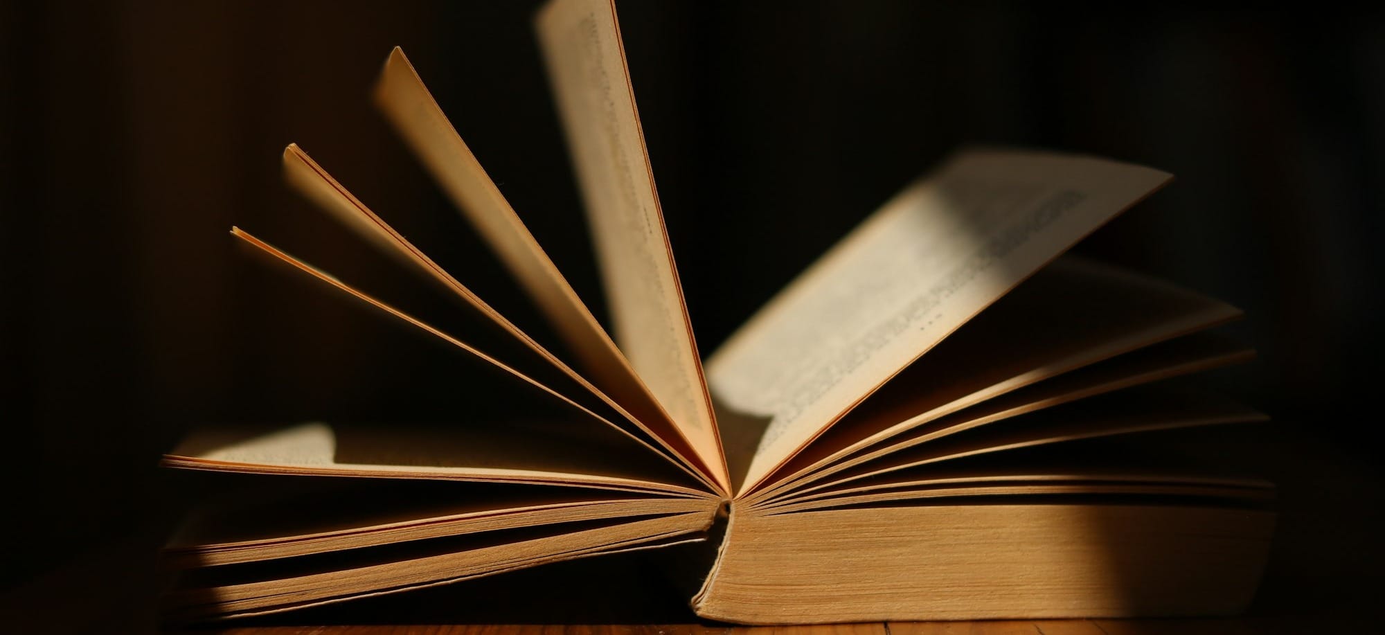 An open book is bathed in light.