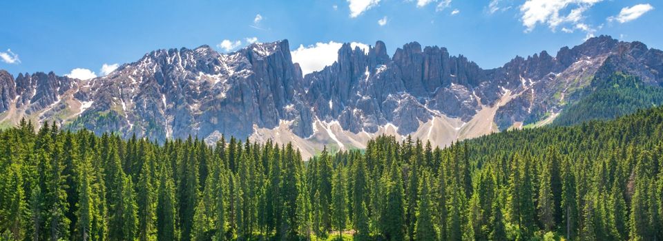 活用“would”助力多邻国英语测试高分：5个妙招