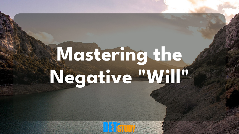 negative-form-of-will