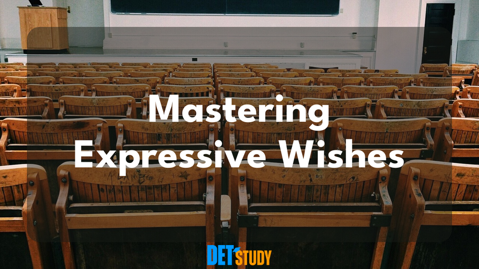 i-wish-could-sentences