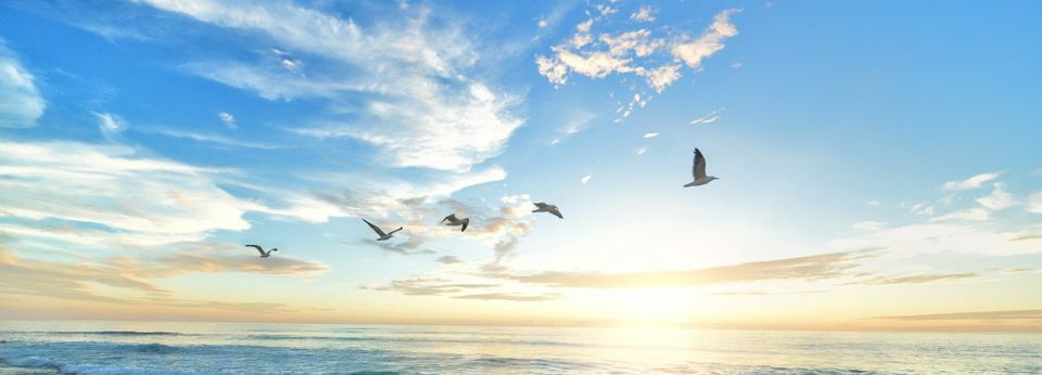 多邻国英语测试到底要不要钱？