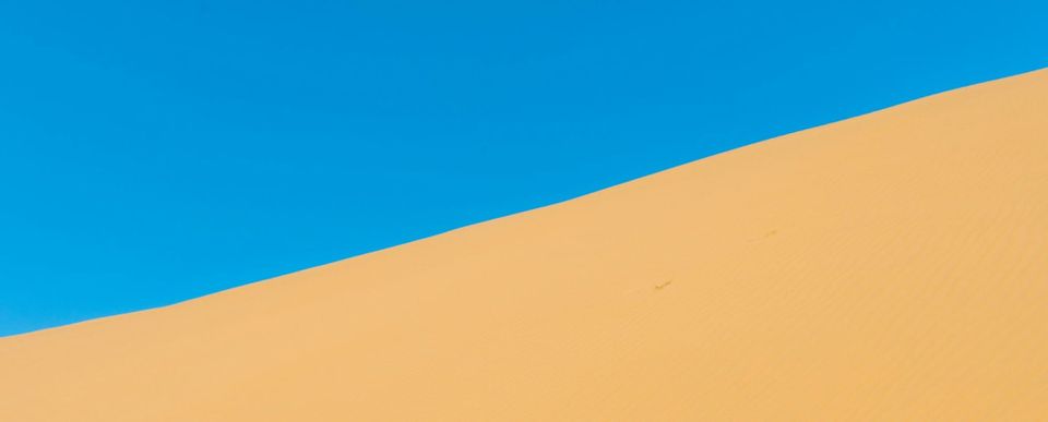 📖 The Washback Effect: How English Tests Shape Learning Behaviors