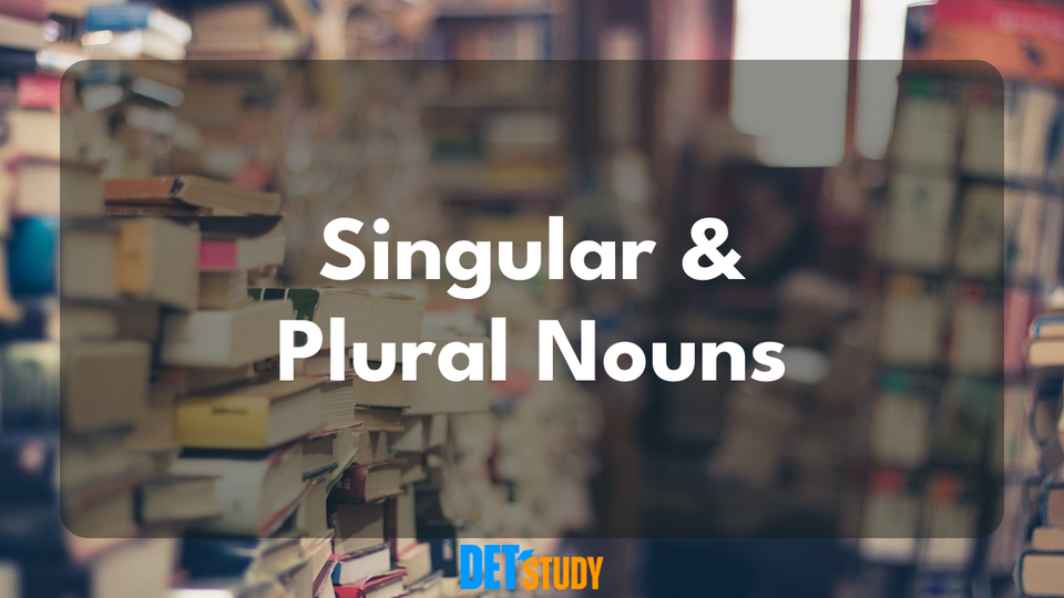 nouns-that-are-singular-and-plural