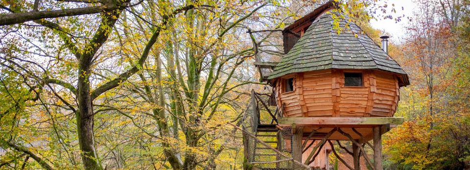 Magic Tree House Reading Comprehension Questions: Enhance Literacy Skills with Engaging Activities