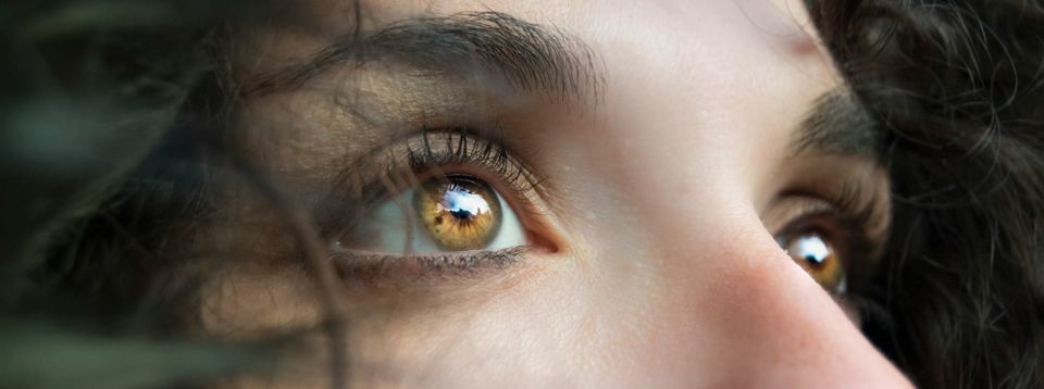 Can You Read DET Questions Aloud? Speaking and Eye-Movement Rules Explained