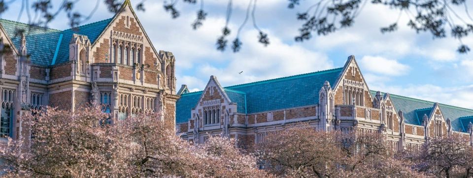 🎓 Your DET Score Can Get You Admitted—and Still Put You in an English Class
