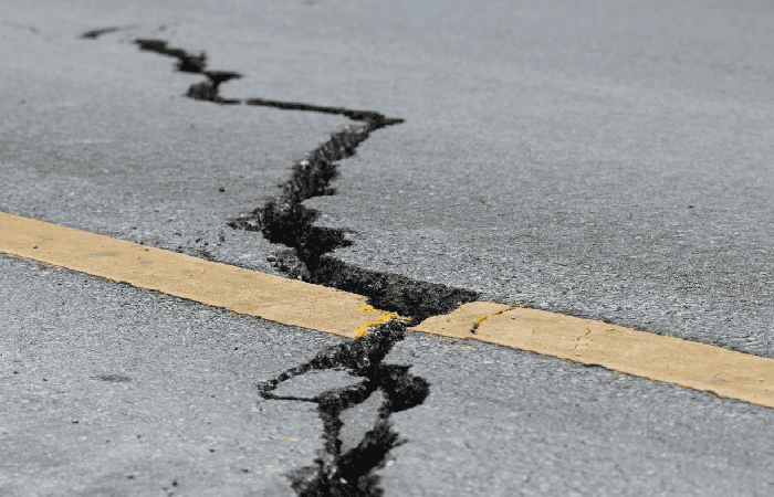 Terremoto: A Word, A Movement, A Multidimensional Force